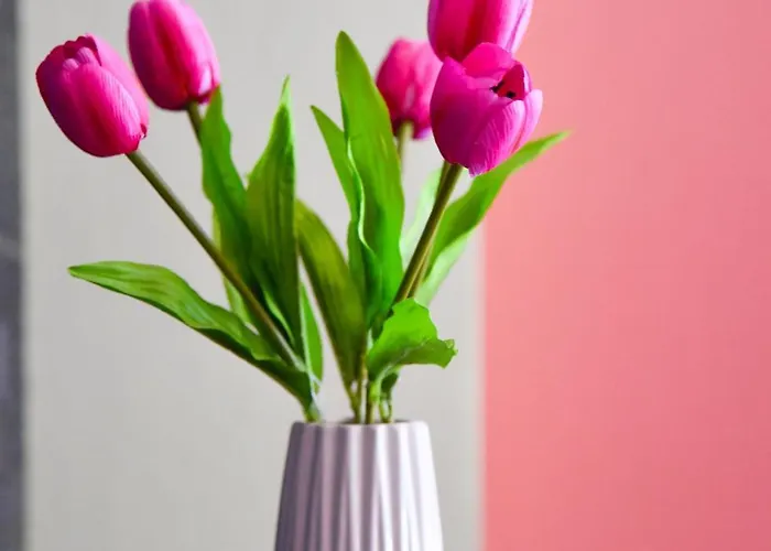 Orizontas Seaview Maisonette Monodhéndrion